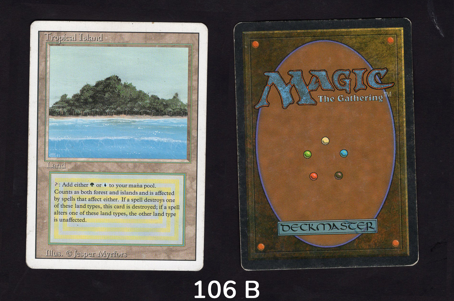 Tropical Island - #106b